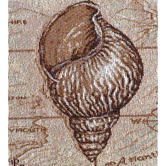 Set of 4 Sea Life Treasures Tapestry Placemats Triton Spiral Shell 18x13" NEW - Picture 2 of 5